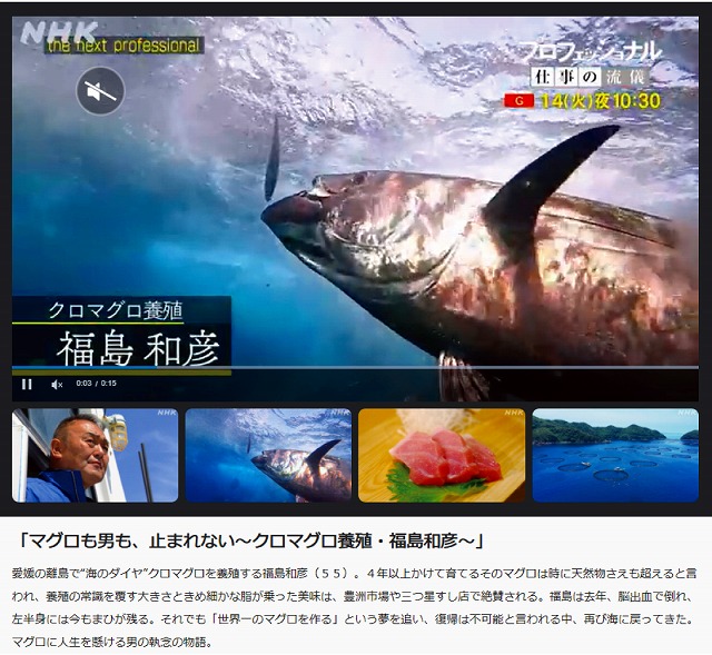 NHK番組「プロフェッショナル仕事の流儀」福島和彦さんのまぐろ