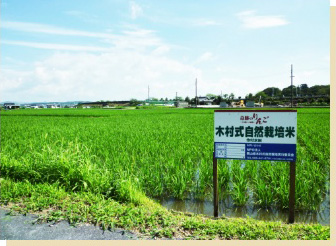 NPO岡山県木村式自然栽培実行委員会を設立
